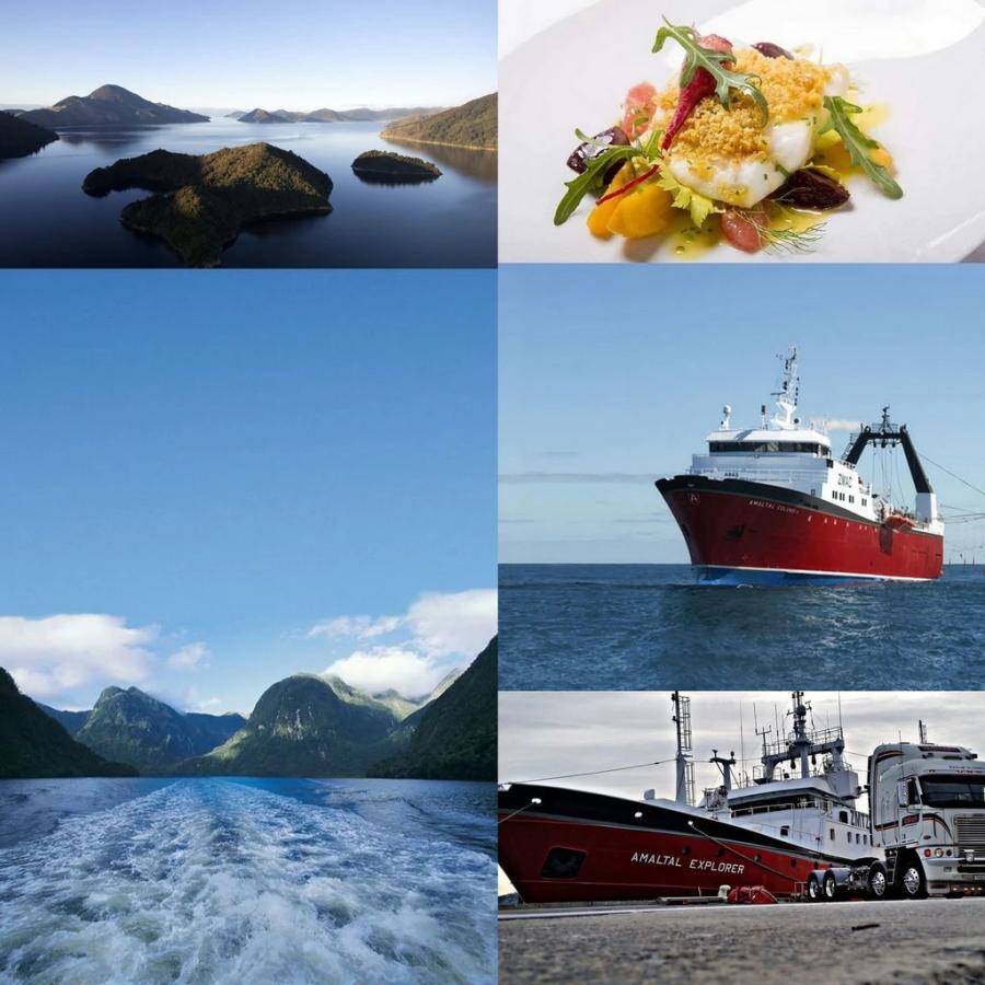 ニュージーランド産 冷凍 天然 白身魚 ヒョウマトウダイ 切り身 750g 皮無し 白身 フィレ フィーレ Sf707 Horizon Farms 通販 Yahoo ショッピング