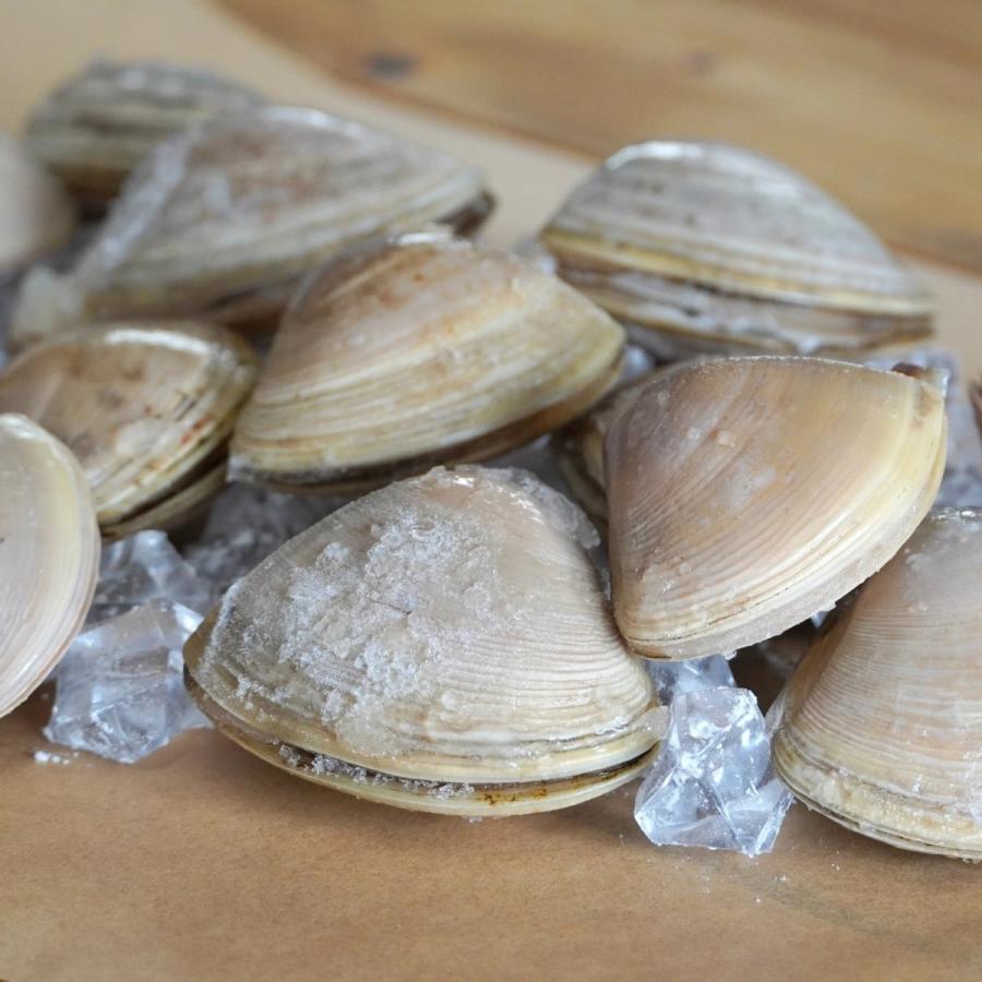 天然 はまぐり 殻付き 貝 ニュージーランド産 500g 冷凍 加熱用 新鮮 ハマグリ 蛤 砂抜き バーベキュー ひな祭り お食い初め 砂出し不要 Sf780 Horizon Farms 通販 Yahoo ショッピング
