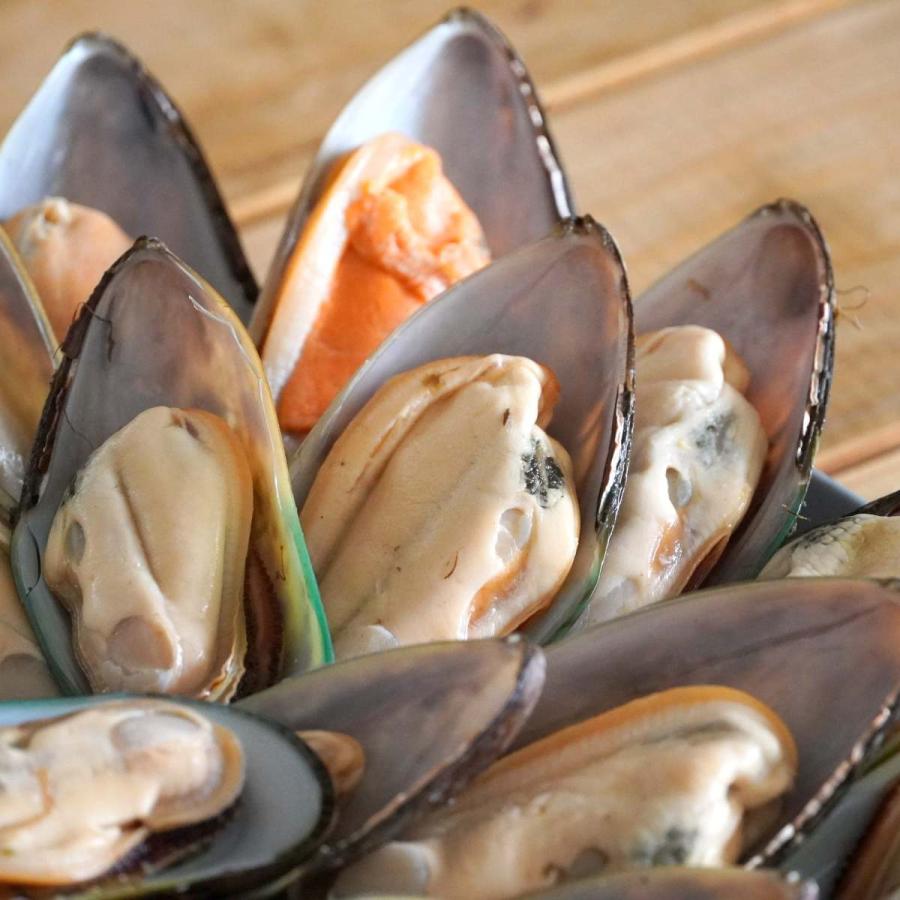 冷凍 グリーンシェル ムール貝 ニュージーランド産 1kg 殻付き パーナ貝 貝 マッスル 業務用 数々のアワードを受賞 ムラサキガイ 加熱用 サイズ パエリア