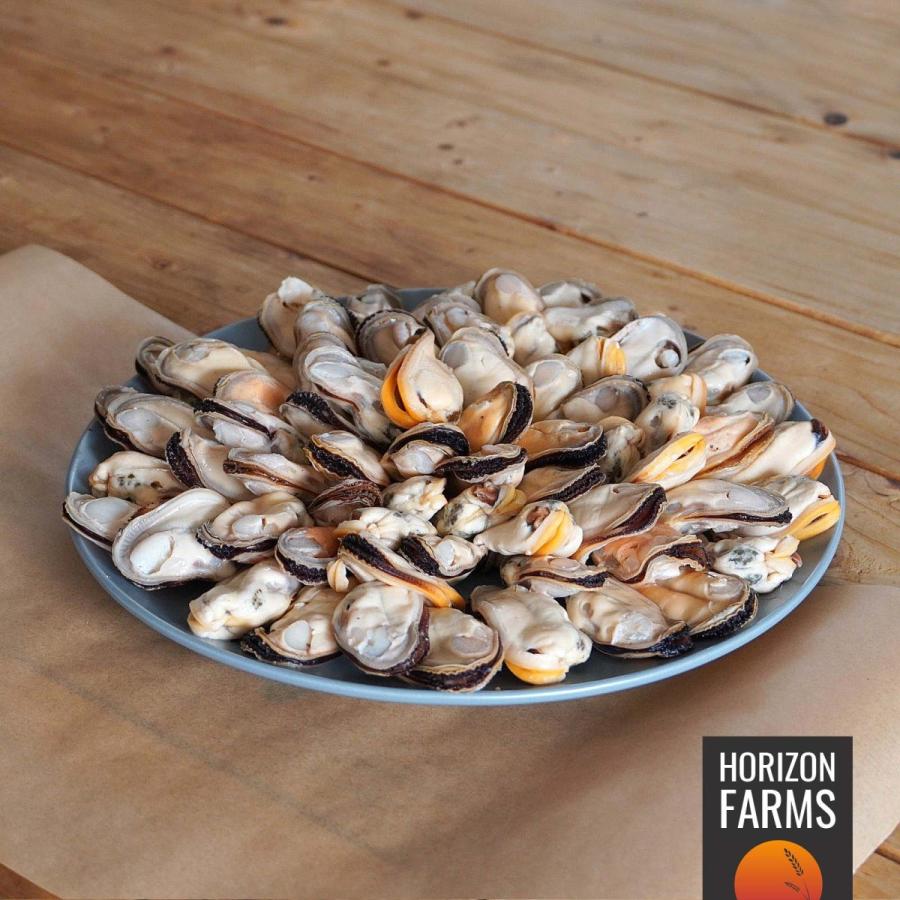 Horizon Farms冷凍 グリーンシェル ムール貝 ニュージーランド産 1kg むき身 パーナ貝 マッスル パエリア 貝 ムラサキガイ 加熱用 業務用 サイズ 500円引きクーポン