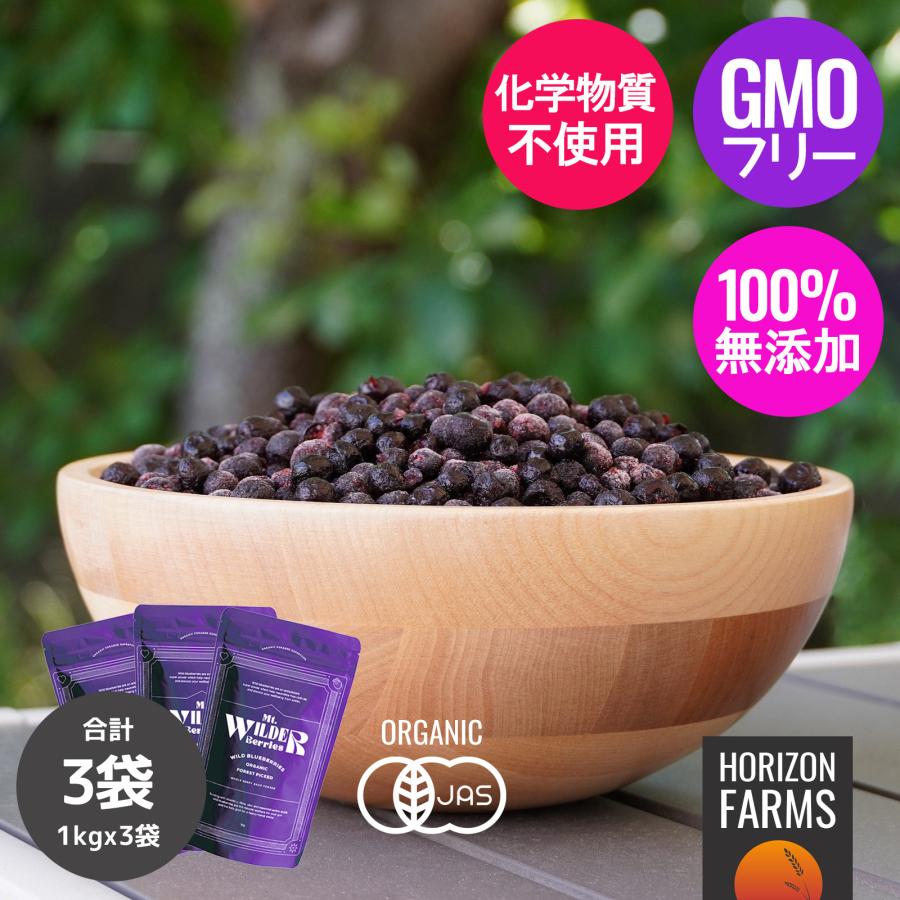 有機 JAS オーガニック フルーツ 冷凍 ワイルドブルーベリー 自生 森