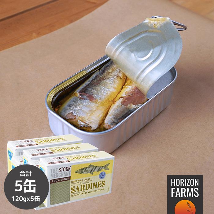 MSC 認証 無添加 天然イワシ オリーブオイル漬け オイルサーディン