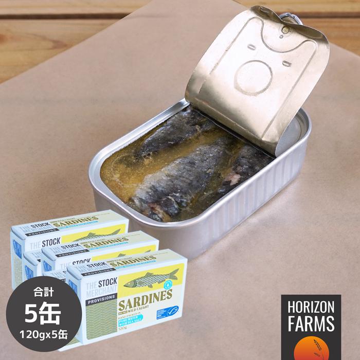 MSC 認証 無添加 天然イワシ 水煮 缶詰 BPAフリー 120g x 5パック