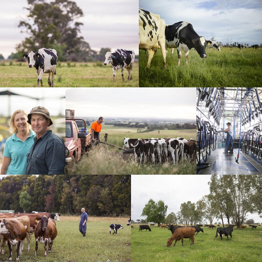 有機 Jas オーガニック 100 グラスフェッドバター 冷蔵 有塩 オーストラリア産 250g 4 合計1kg St681 Horizon Farms 通販 Yahoo ショッピング