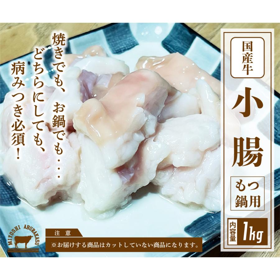 国産牛 小腸 1kg / こてっちゃん / もつ鍋 / 冷凍 ブロック｜hormone-miyoshi