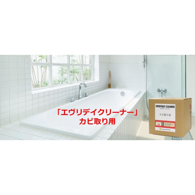エヴリデイ クリーナー カビとり用 １０リットル_1