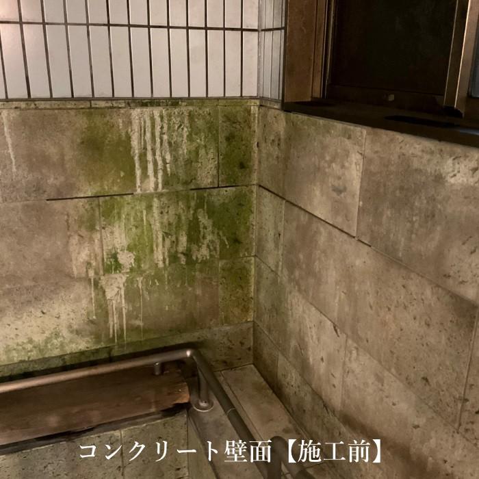 エヴリデイ クリーナー カビとり用 １０リットル_2