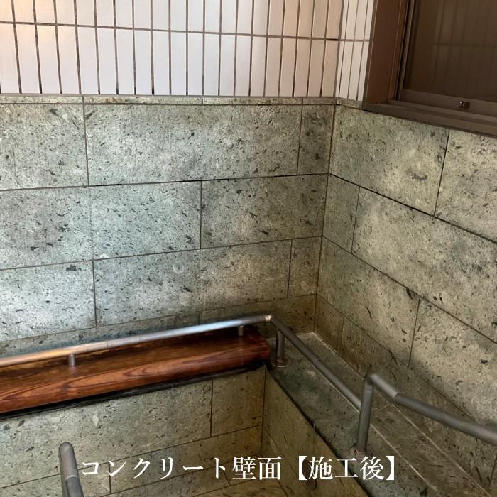 エヴリデイ クリーナー カビとり用 １０リットル_3