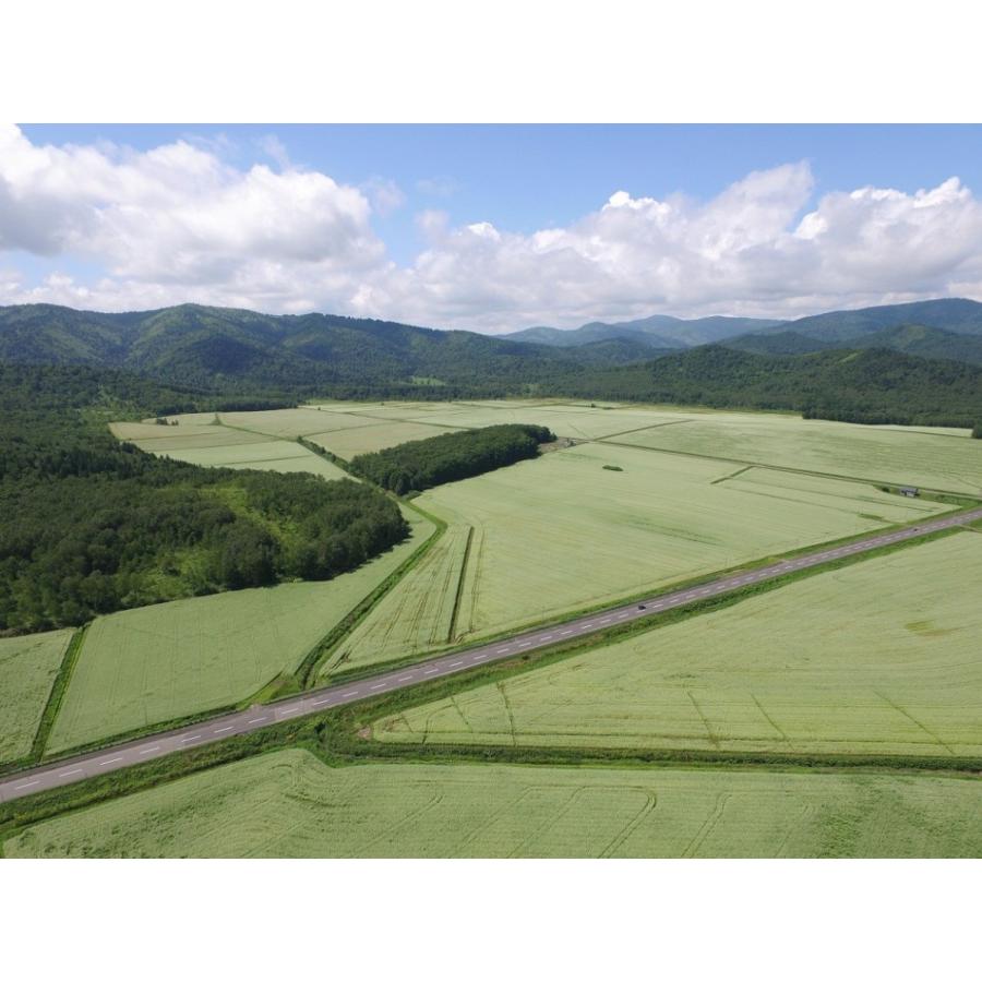 【送料無料】年越しそば10人前●化粧箱入り●産地直送！手打ちそば！年越しそば！幌加内そば |  | 07