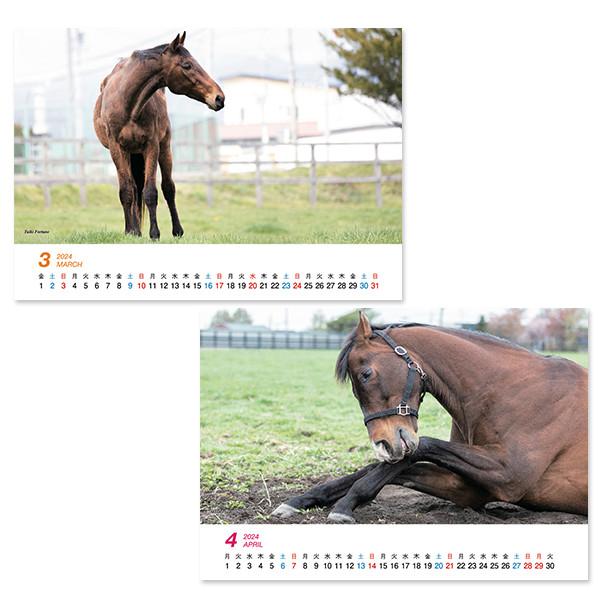 ＜引退馬協会＞卓上カレンダー FHセレクション ２０２４｜horse-factory｜04