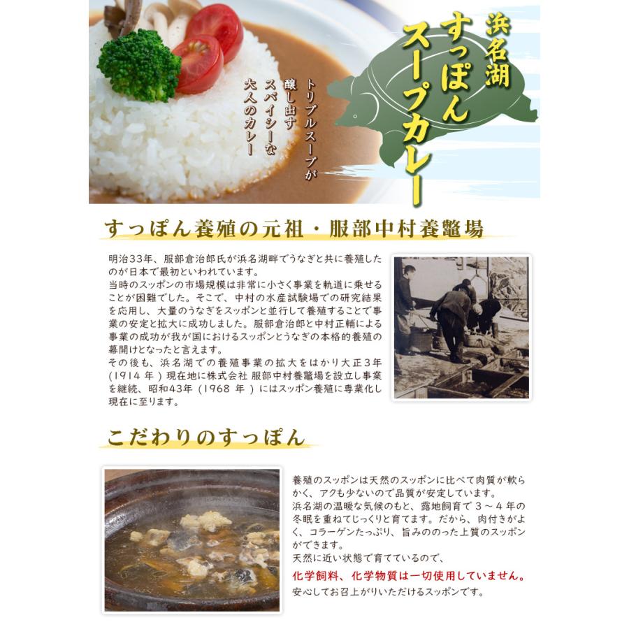 セール特価品 送料無料 産直 浜名湖特産 すっぽんスープカレー 180g 6箱セット Materialworldblog Com
