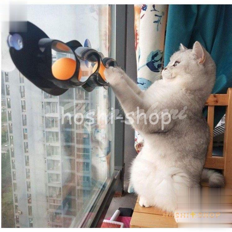 猫 おもちゃ ボール  対策 窓 壁に取り付ける 吸盤タイプ｜hoshi-shop