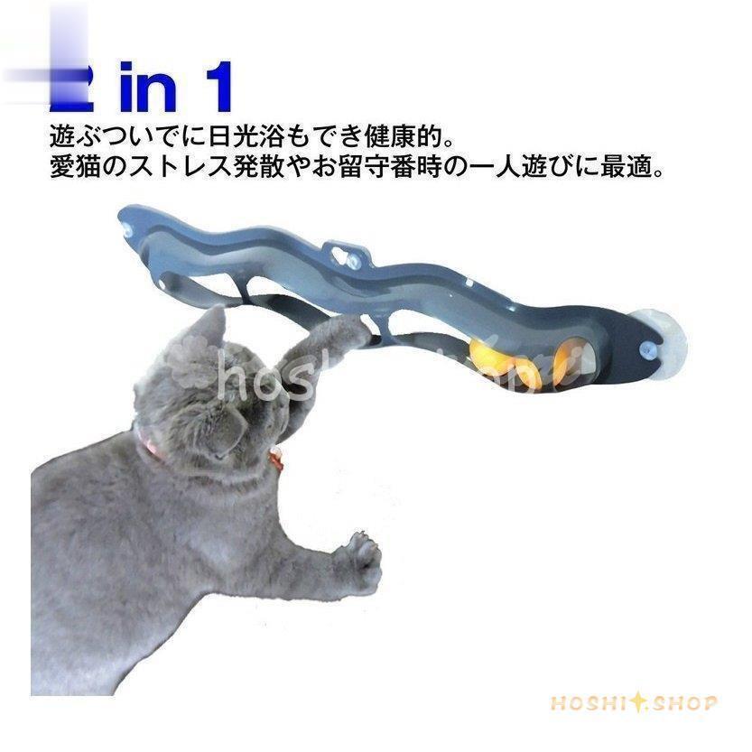 猫 おもちゃ ボール  対策 窓 壁に取り付ける 吸盤タイプ｜hoshi-shop｜04