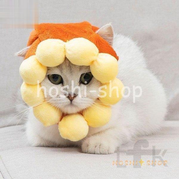 帽子 マフラー ペット用品 猫 犬 新作 動物型 コスチューム 可愛い お出掛け おしゃれ 珍しい