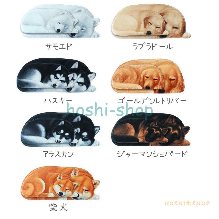 フロアマット ワンちゃん 玄関マット カーペット 洗える 3D犬柄ラグ