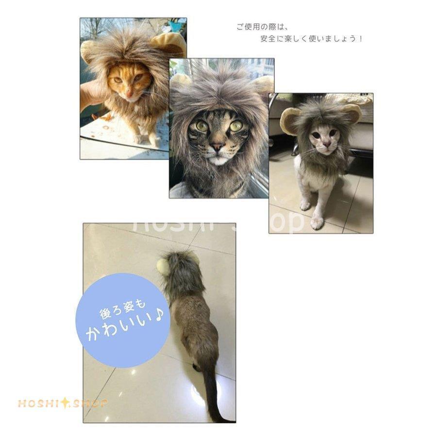 猫用 犬用 被り物 首回り28cm 32cm Sサイズ Mサイズ 帽子 ライオン 変身 仮装 ペット用 ウィッグ コスプレ パーティー イベント ハロウィン 猫 犬 Star1002 Pet1080 星野 通販 Yahoo ショッピング