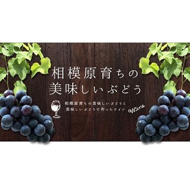 神奈川県産ぶどう使用 さがみの夢 プレミアム 720ml 日本ワイン 国産