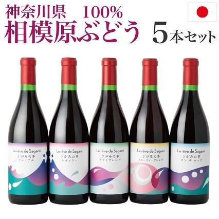 神奈川県産ぶどう使用 さがみの夢 5本セット 720ml 日本ワイン 国産