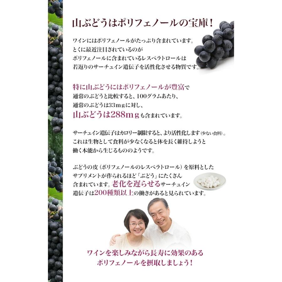 神奈川県産ぶどう使用 さがみの夢 5本セット 720ml 日本ワイン 国産