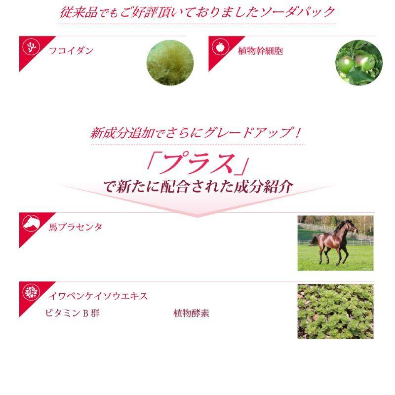 炭酸パック 幹細胞 濃密泡 洗い流すタイプ ELEGA DOLL Phytocell