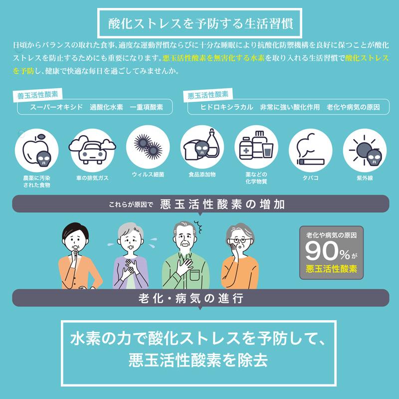 一朗堂水素酸素吸入器HHOパルス3000 高濃度水素酸素吸入器 一朗堂水素酸素吸入器HHOパルス3000 高濃度水素酸素吸入器