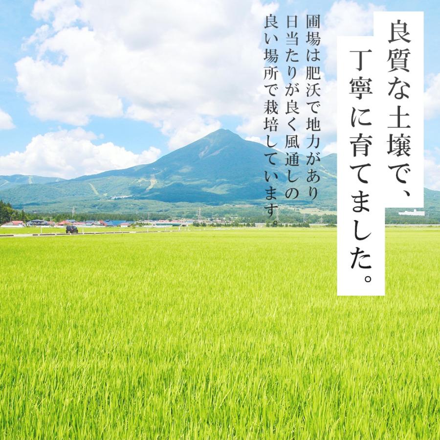 山形県産 星川農園 新米 つや姫 10kg 特別栽培米 21年産 令和3年産 白米 尾花沢 Tsuyahime10 星川農園 Yahoo 店 通販 Yahoo ショッピング
