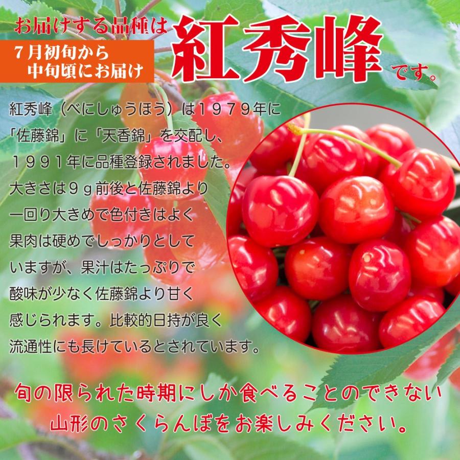 さくらんぼ 紅秀峰 山形 厳選 特秀品 ２Lサイズ 500グラム 送料無料 手詰め 贈答用 鏡詰め｜hoshino-ichiba｜03