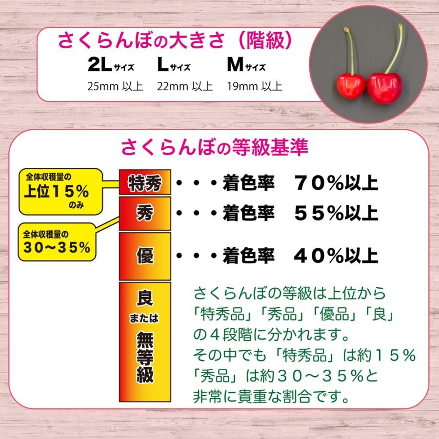 さくらんぼ 紅秀峰 山形 厳選 特秀品 ２Lサイズ 500グラム 送料無料 手詰め 贈答用 鏡詰め｜hoshino-ichiba｜06