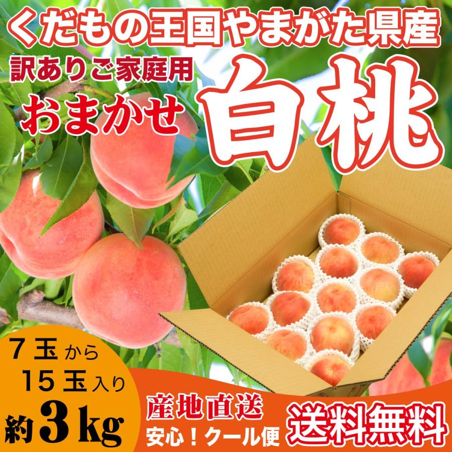 即納】 桃 訳あり 白桃 約３kg ７玉〜１５玉 おまかせ 送料無料 山形県産 あかつき 川中島 モモ