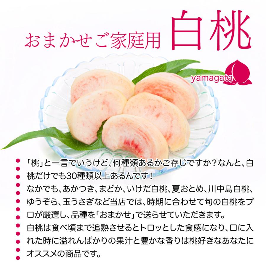 桃 訳あり 白桃 約3kg 7玉〜15玉 おまかせ 送料無料 山形県産 あかつき 川中島 モモ :namo003-01:ホシノイチバ 通販 山形県白桃 清麗あかつき 訳あり
