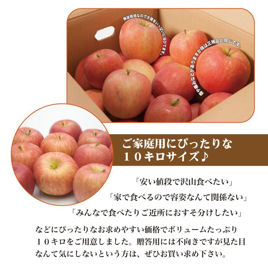 りんご 訳あり 約１０キロ サンふじ 山形県産 ご家庭用 林檎 リンゴ 