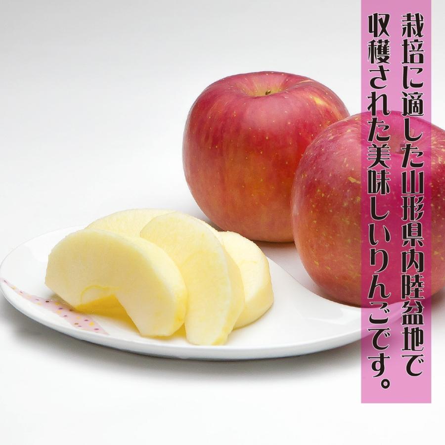 りんご サンふじ 準秀品 約１０キロ 山形県産 産地直送 林檎 リンゴ 