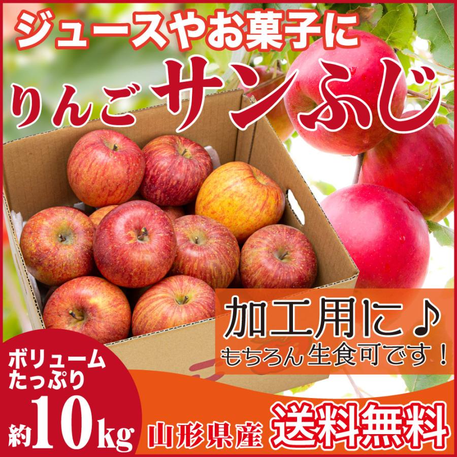 訳あり＞ 果物 りんご サンふじ（加工用）10ｋｇ 産地直送 - りんご