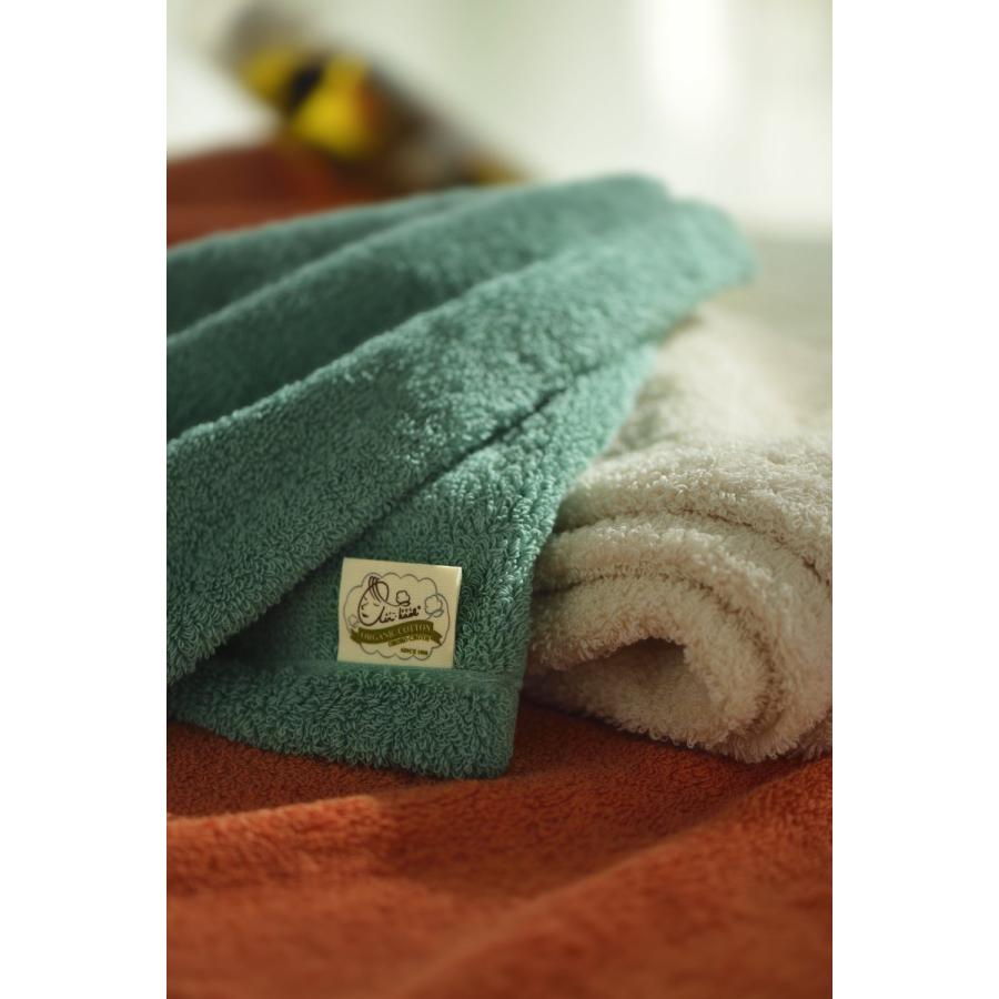 エアーかおる エクスタシー フェイスタオル 浅野撚糸 送料無料 : 八女