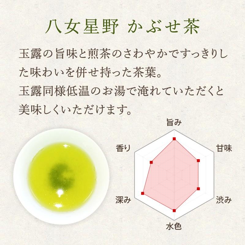 CiC　N　05-020　星のお茶をどうぞ 星乃華 お茶 緑茶 八女茶 星野茶 茶葉 かぶせ茶100g×1 かぶせ茶