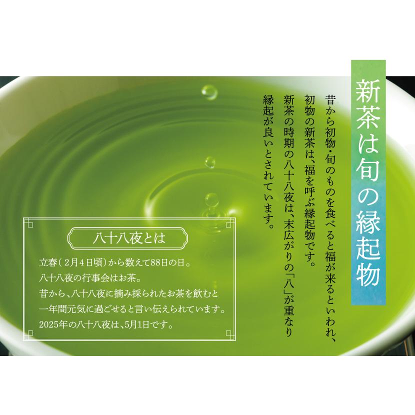星乃華 八女茶 星野茶 新茶120g×2 星乃きわみ ほしのはな : 八女星野茶