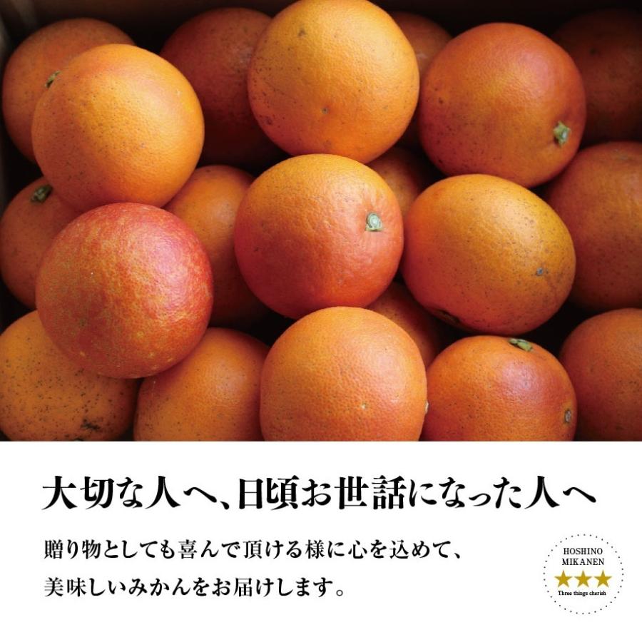 黒猫ジジ様 専用愛媛県産 ブラッドオレンジ 柑橘 30kg 【公式通販】