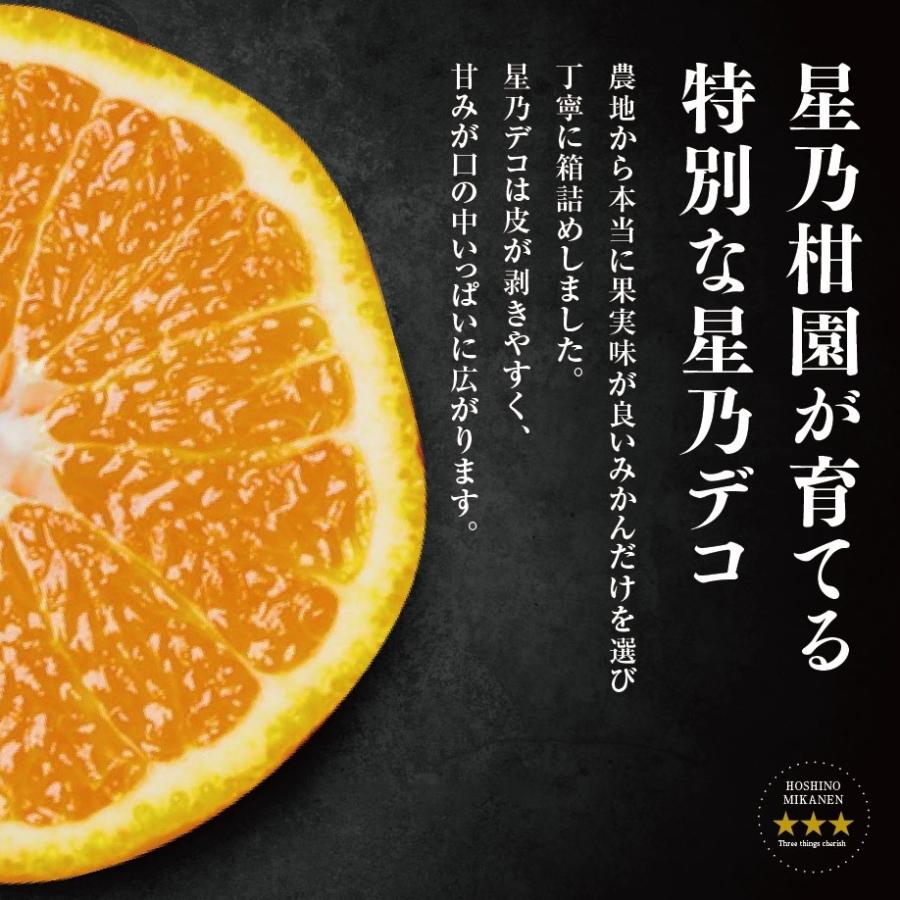 星乃デコ【木成り完熟デコポン/不知火】 3.5kg : 星乃みかん園 - 通販