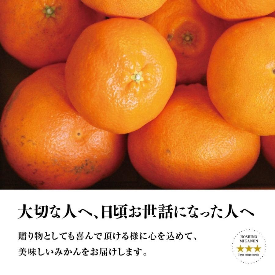 数量限定SALE ２０箱　甘平　5キロ（箱込み）　家庭用　×２箱 数量限定SALE 20箱 甘平 5キロ（箱込み） 家庭用 ×2箱