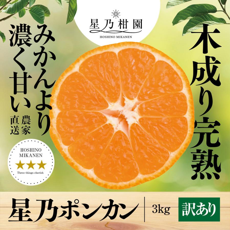 星乃みかん【木成り熟成ポンカン/訳あり】 3kg : 星乃みかん園 - 通販 