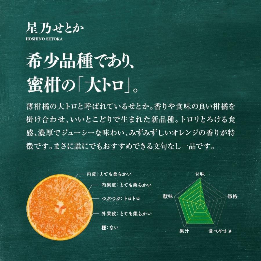 星乃せとか【木成り完熟みかん/サイズ混合/訳あり】 5kg : 星乃 星乃せとか【木成り完熟みかん/サイズ混合/訳あり】 5kg : 星乃