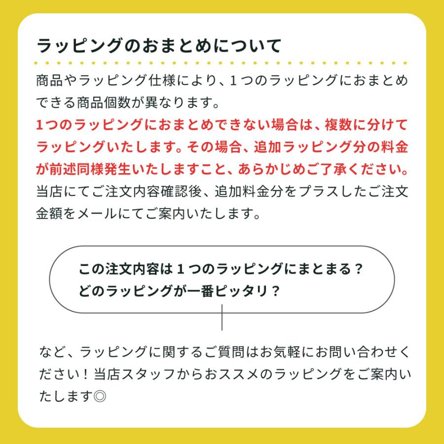 ブルックス（BROOKS）トークリップ＆ストラップ 箱、台紙付き、新品未使用品 ブルックス（BROOKS）トークリップ＆ストラップ 箱、台紙付き、新品未
