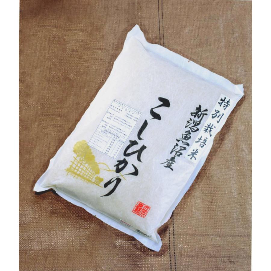 コシヒカリ 令和7年産 魚沼産コシヒカリ 特別栽培米 5kg : 味噌星六