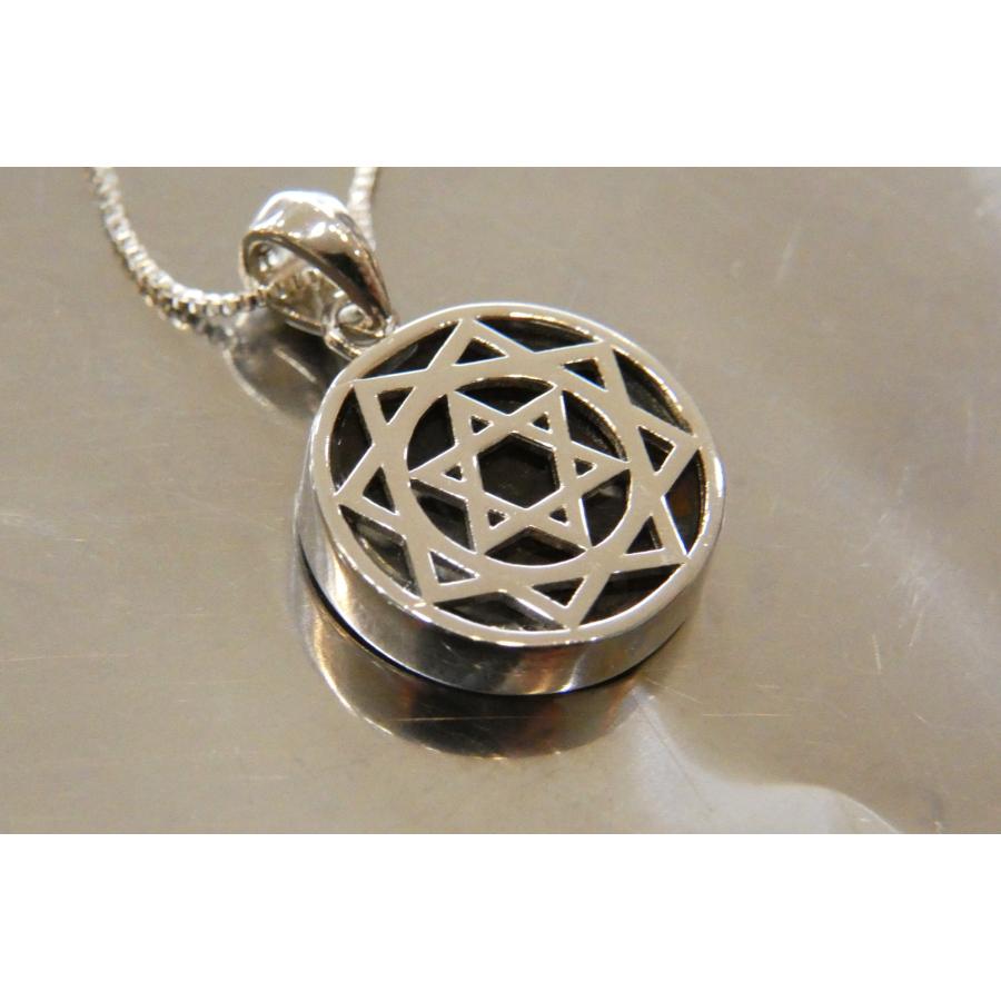 再入荷 希少な隕石 パラサイト・セリコ隕石 ペンダント sa1878 : 地球