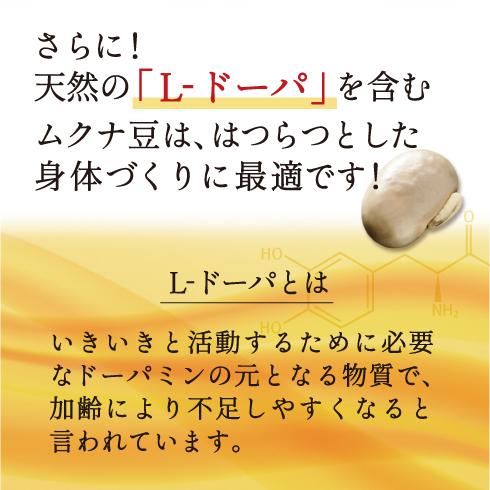 ムクナ豆 国産 Lドーパ 粉末 パウダー 300g はたらくムクナ豆 ムクナ豆 国産 Lドーパ 粉末 パウダー 300g はたらくムクナ豆