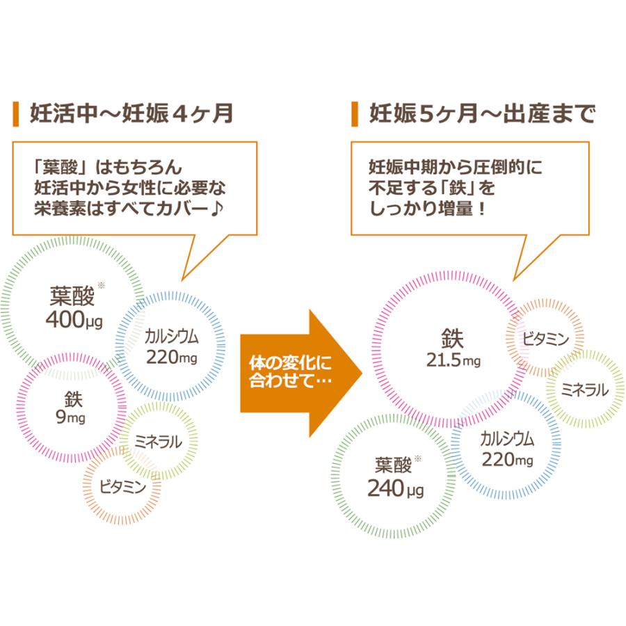 葉酸 温活 ショウガヨウサン 妊娠5ヶ月〜出産 30日分 時期別 温活 ウムリンと同じ会社 鉄 鉄分 カルシウム ビタミン ミネラル｜hosokawasoyaku｜03