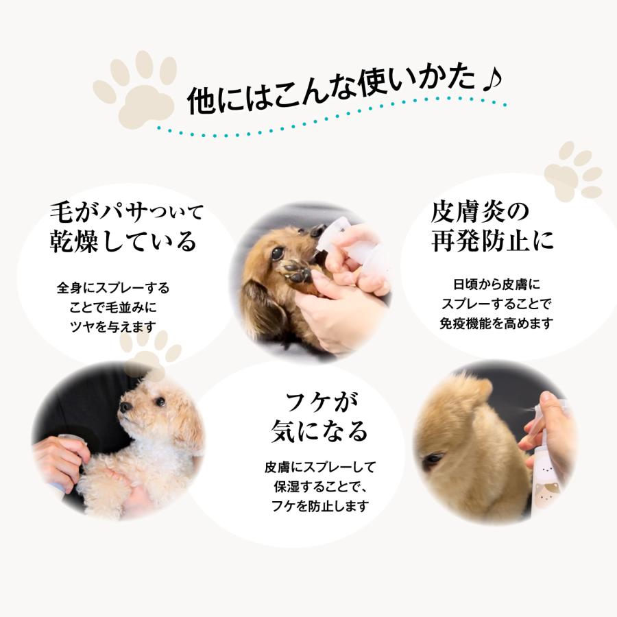 犬 猫 ペット スキンケア 乾燥 かゆみ 止め フケ 涙やけ 肉球ケア 保湿 毛ツヤ 目ヤニ 無香料 CARESUI（ケアスイ）ジェル お試し30g 1本｜hospitality-shop｜13