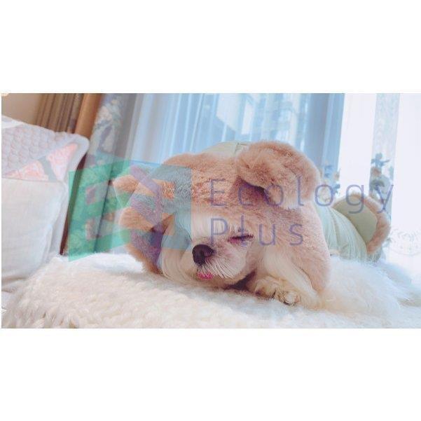 犬 服 秋冬 お洒落 フリース 中型犬 コート ロンパース 暖かい ペット服 猫 服 さくらんぼ オールインワン カバーオール ピンク ホワイト 犬の服 犬の服 カラー ホワイト Bollywoodpapa Com