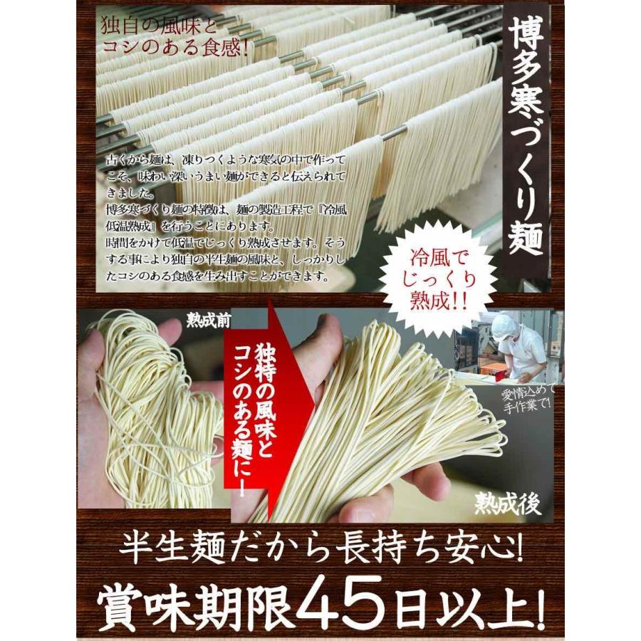 送料無料 とんこつラーメン 博多の行列屋台 「小金ちゃん」豚骨
