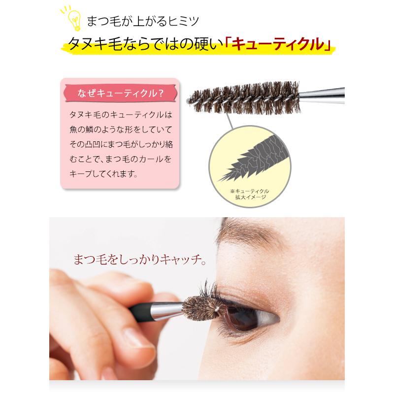 在庫あり まつ毛がカールする天然タヌキ毛ブラシ まつげ アイケア